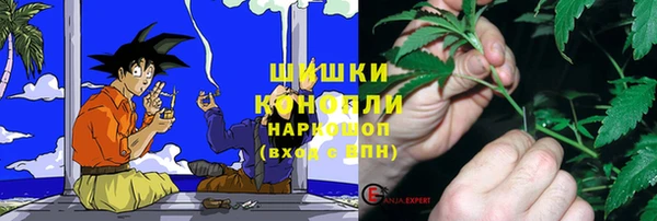 spice Костерёво