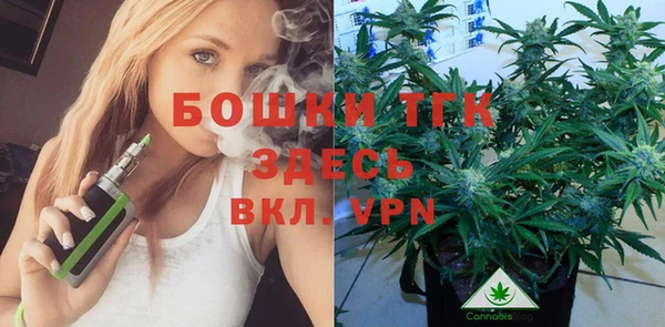 крисы Краснослободск