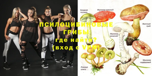 крисы Краснослободск