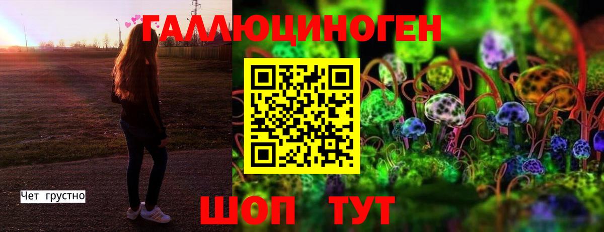 где купить наркоту  Псилоцибиновые грибы Psilocybine cubensis  Вход с VPN  Костомукша 