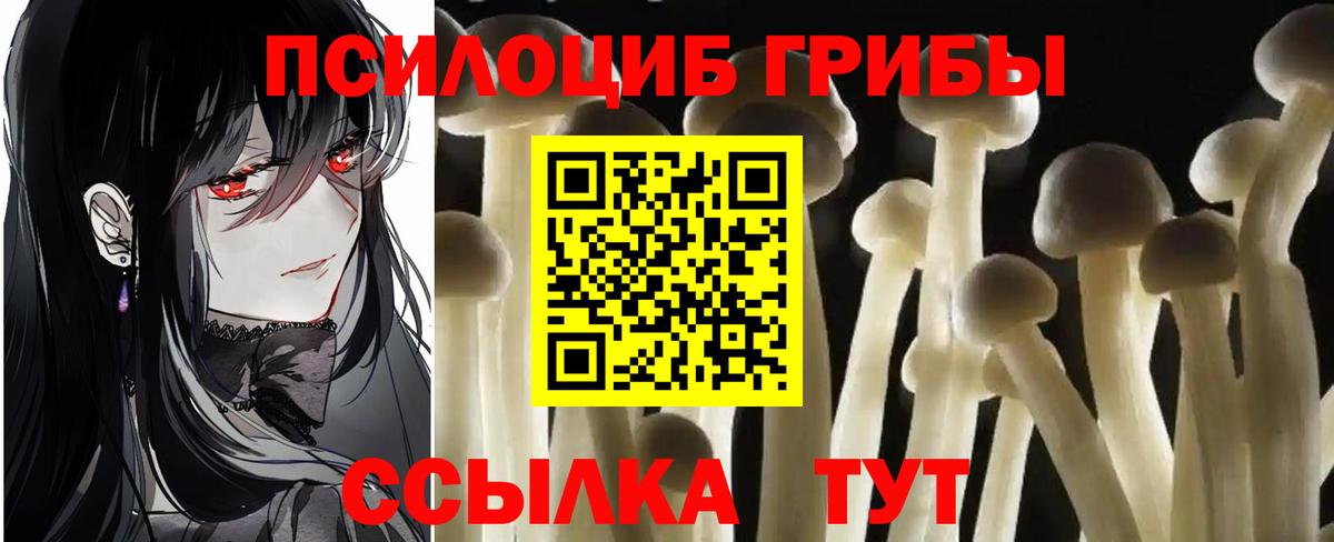 Псилоцибиновые грибы прущие грибы Костомукша